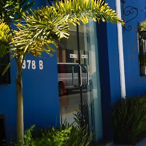 Hotel Boutique Casa Flor De Mayo, Merida